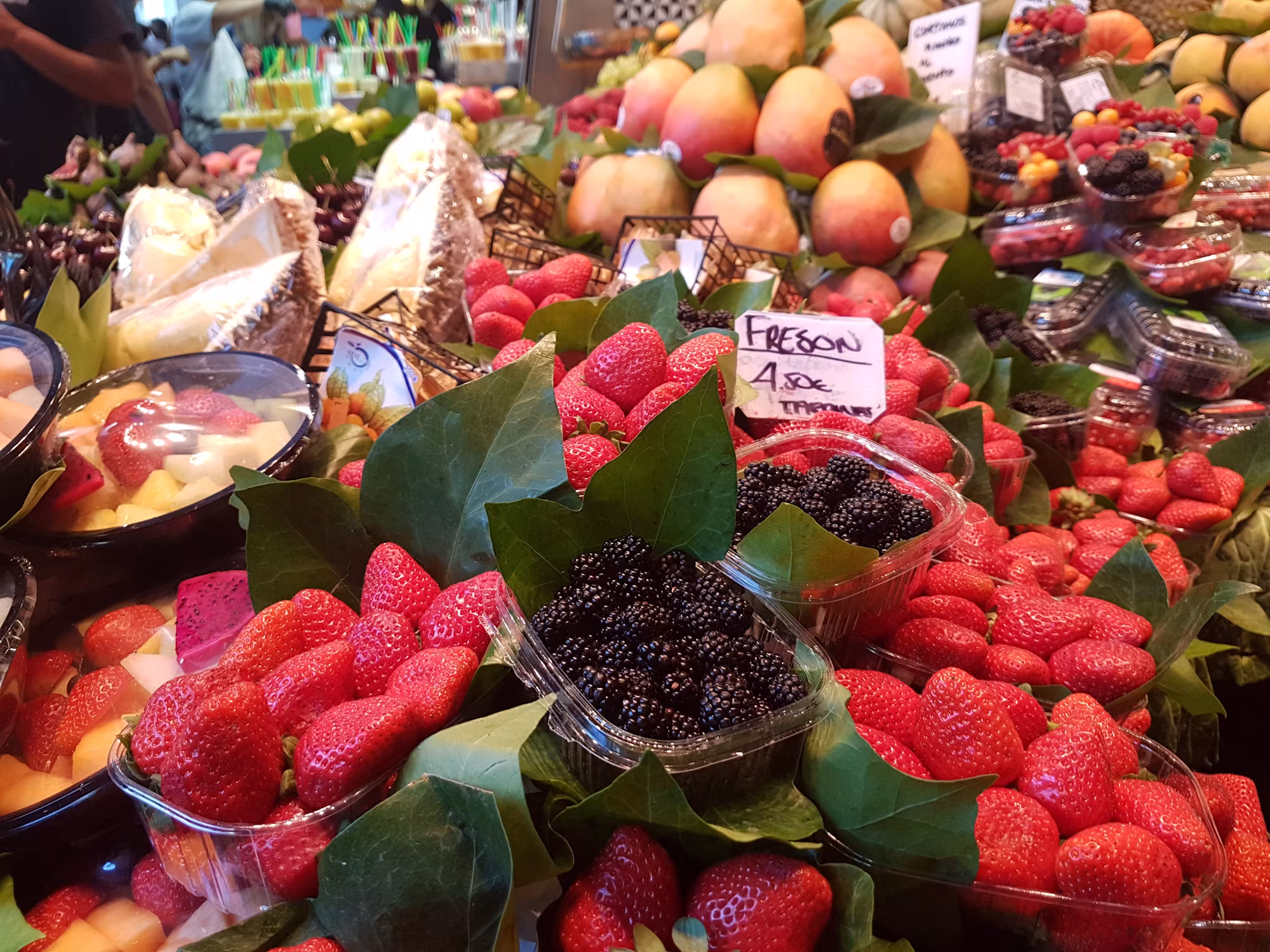 A Journey Through the World of Nuts: Varieties, Benefits, and Culinary Uses